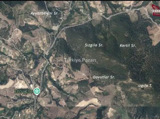 BURSA OSMANGAZİ SEFERIŞIKLAR 11.737 M2 ORMAN CEPHE 4/B KAPSAMINDA TEK TAPU TARLA