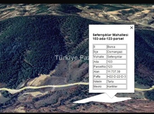 BURSA OSMANGAZİ SEFERIŞIKLAR 11.737 M2 ORMAN CEPHE 4/B KAPSAMINDA TEK TAPU TARLA