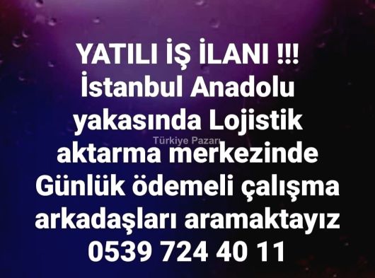 Günlük Ödemeli Çalışma arkadaşı