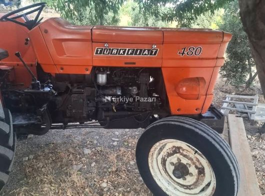 81 model