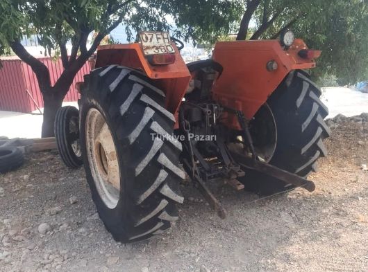 81 model