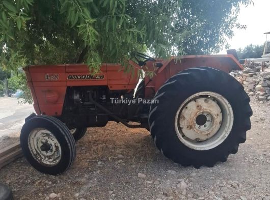 81 model