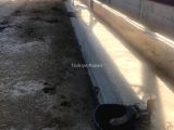 SATİLİK ÇİFTLİK: 34.DÖNÜM ÇİFTLİK