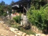 ARABA PARASINA SATİLİK ÇİFTLİK: 34.DÖNÜM ÇİFTLİK
