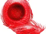 Puff Nakışlı Ranforce Çift Kişilik Nevresim Takımı Mirely Siyah Kiremit