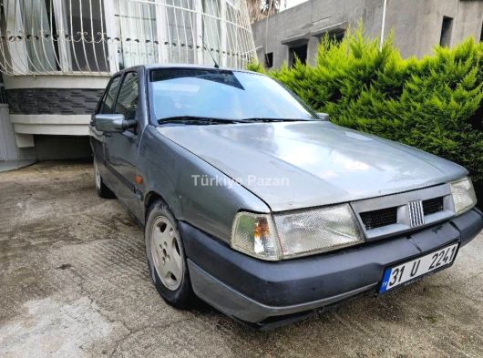 Çokk acil Satılık küba çita 50 R