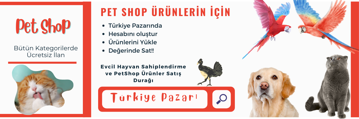 Bakım Ürünleri