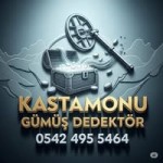 Kastamonu Dedektör