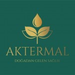 Ahmet Alizai